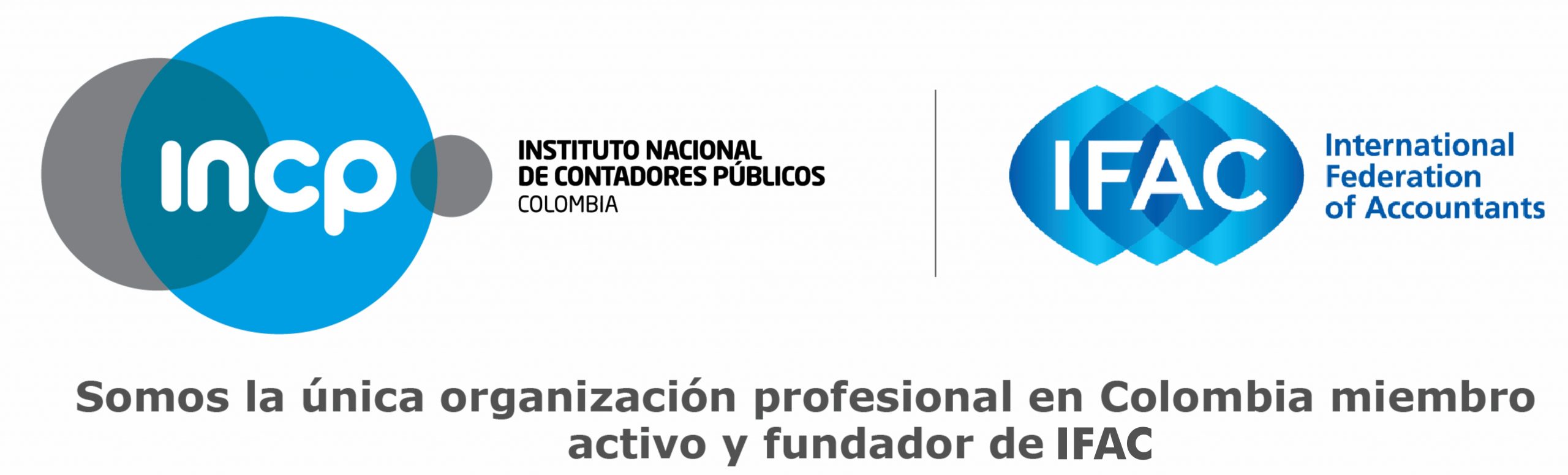 Instituto Nacional de Contadores Públicos de Colombia